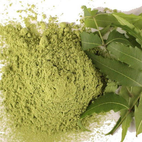 Organic Neem Leaves Powder, for Ayurvedic Medicine, Cosmetic Products, Herbal Medicines, Color : Green