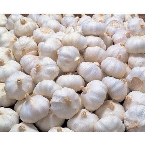 Organic fresh garlic, Color : Off White