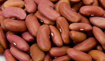 Organic Kidney Beans, for Cooking, Form : Granules