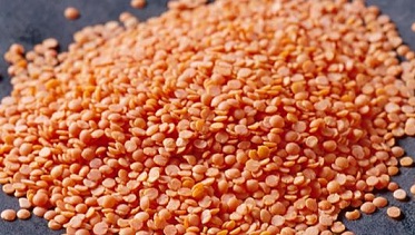 Organic Red Lentils, for Cooking, Feature : Healthy To Eat, Highly Hygienic