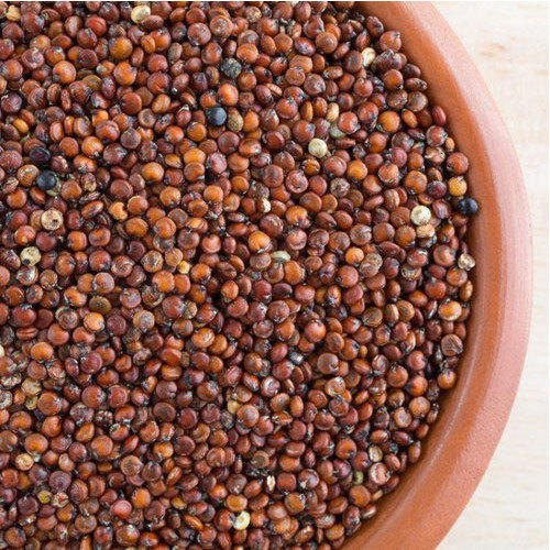 Organic Red Quinoa Seeds, Purity : 100%