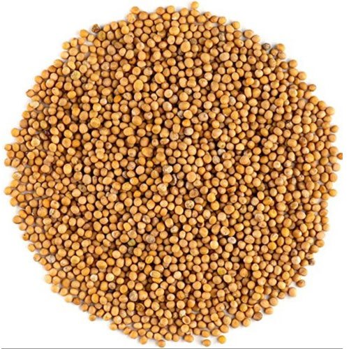 Organic yellow mustard seeds, for Cooking, Specialities : Hygenic, Good Quality