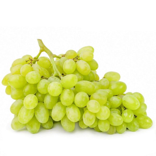 Natural Fresh Grapes, for Human Consumption, Packaging Type : Paper Box