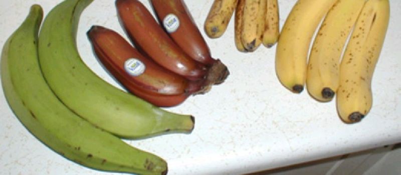 Organic fresh banana, Feature : High Value, Strong Flavor