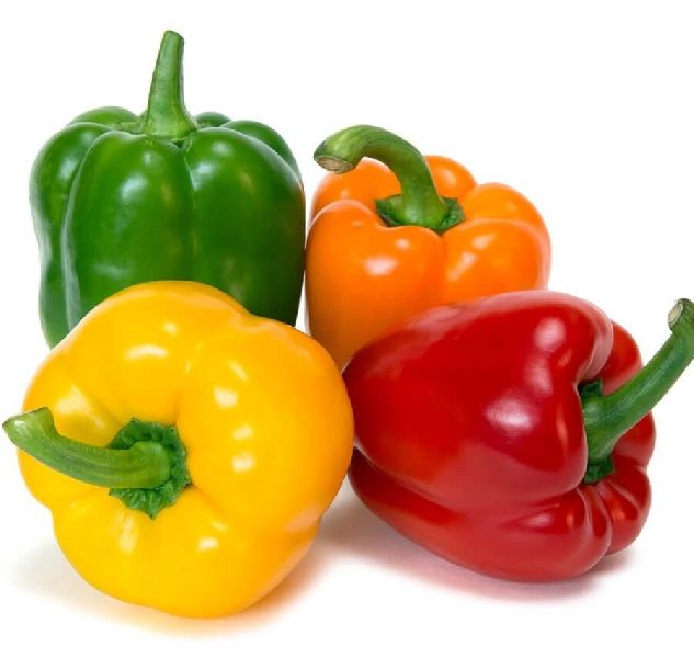 fresh capsicum