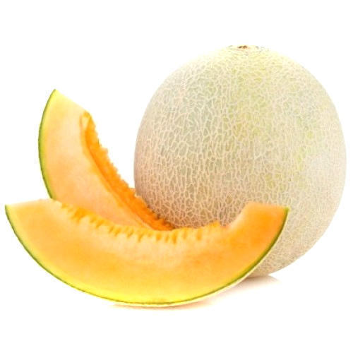 fresh muskmelon