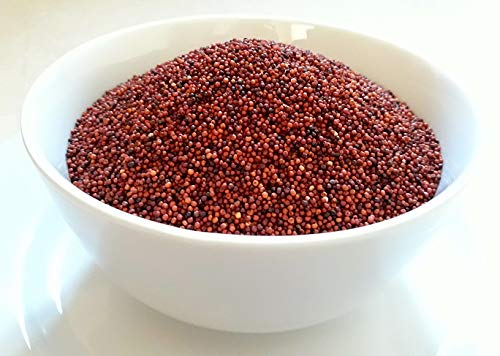 Fine Processed Organic Finger Millet Seeds, for Cattle Feed, Cooking, Feature : Gluten Free, Natural Taste