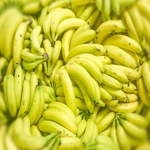 fresh cavendish banana