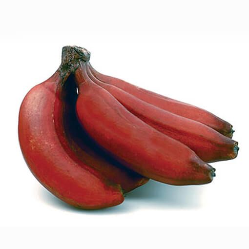Organic Fresh Red Banana, Packaging Type : Wood Box