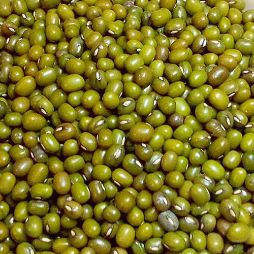 Green Moong Dal, Packaging Size : 5-10 Kg