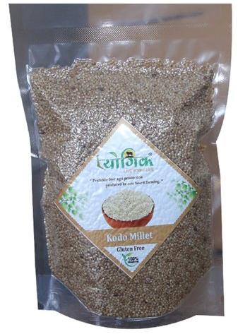 Kodo Millet, for Gluten Free, Packaging Size : 1kg
