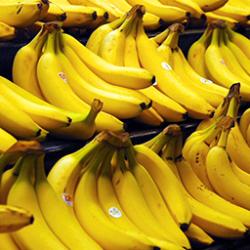 Organic Fresh Basrai Banana, Shelf Life : 1week