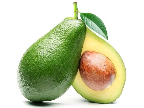 Fresh avocado, Shelf Life : 15 Days