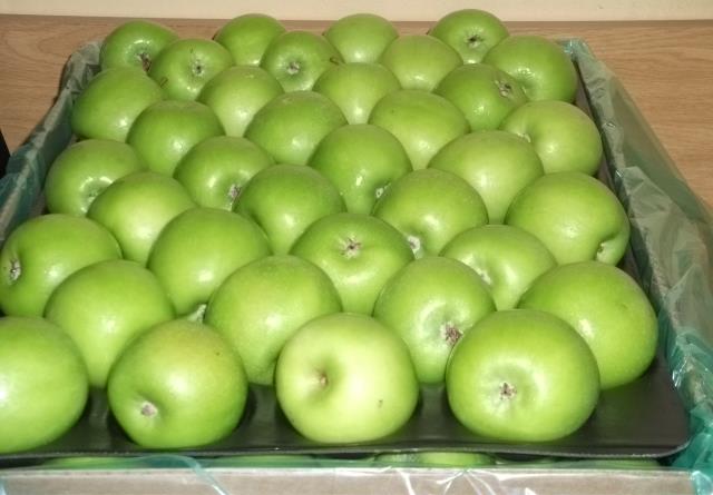 Organic Fresh Granny Smith Apple, Shelf Life : 10 Days