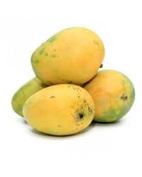 Organic Fresh Himsagar Mango, Shelf Life : 10 Days