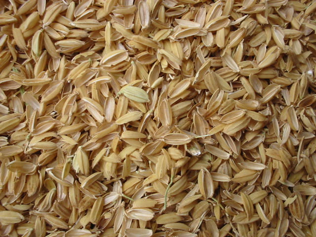 Rice Husk, for Insulation material