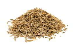 Natural cumin seeds, for Spices, Packaging Type : Plastic Pouch, Plastic Packet
