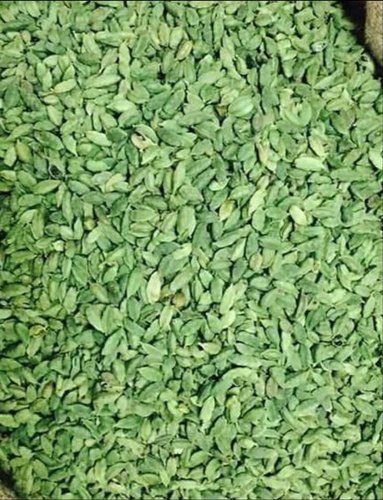 Green Cardamom, for Spices, Packaging Type : Plastic Pouch