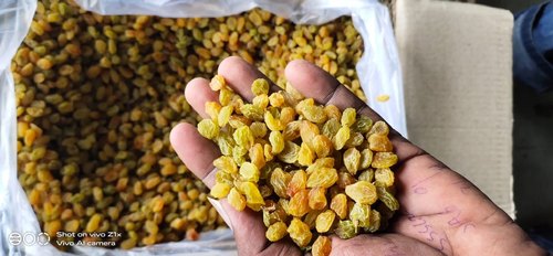 Small Golden Raisins, Taste : Sweet