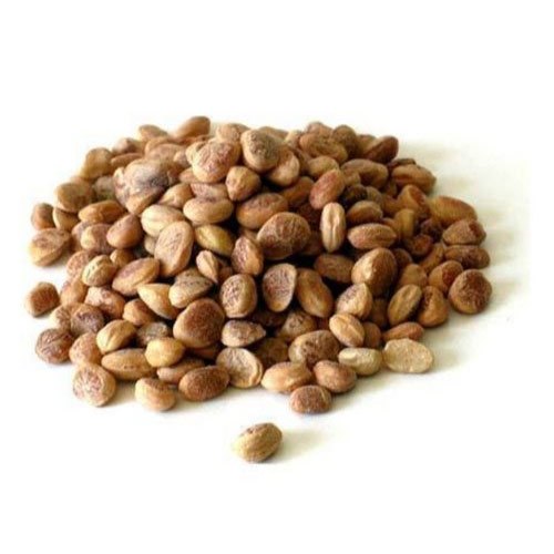 ashwagandha seeds
