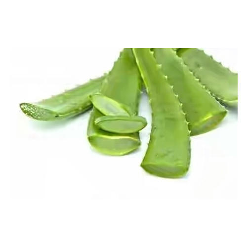 Natural Fresh Aloe Vera Leaf, for Body Lotion, Making Shampoo, Gel, Juice, Soap, Feature : Insect Free