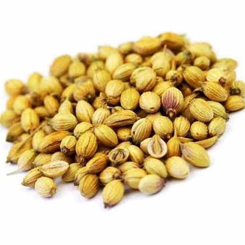 Natural coriander seeds, for Cooking, Packaging Type : Jute Sacks