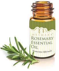 Flowers rosemary essential oil, Feature : 100% Natural Herbal, Hygienically Packed
