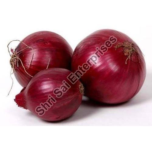 Natural fresh red onion, for Human Consumption, Packaging Type : Jute Sacks