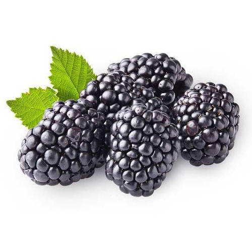 Organic Fresh Blackberry