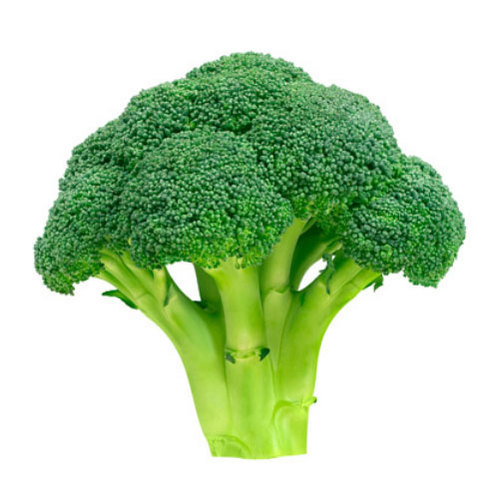 Fresh broccoli, Packaging Type : Plastic Packet