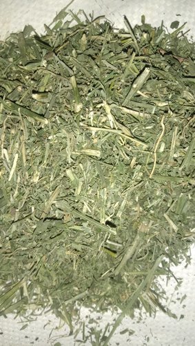 Green Chiretta, Form : Dried