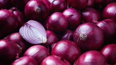 fresh onion