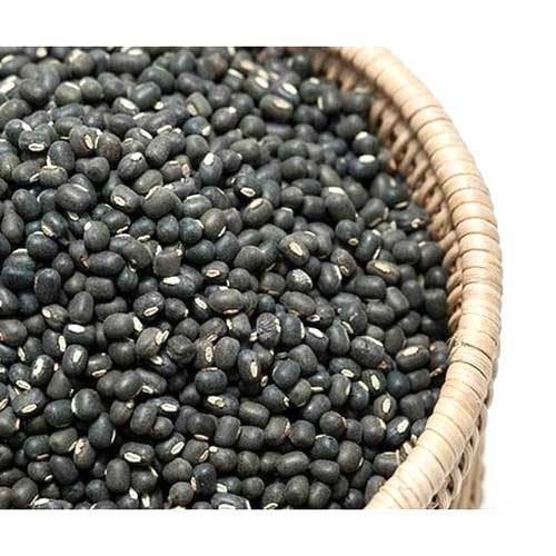 Common Whole Black Urad Dal, for Cooking, Style : Dried