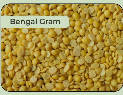 bengal gram