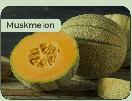 fresh muskmelon