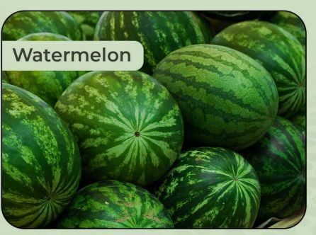 fresh watermelon