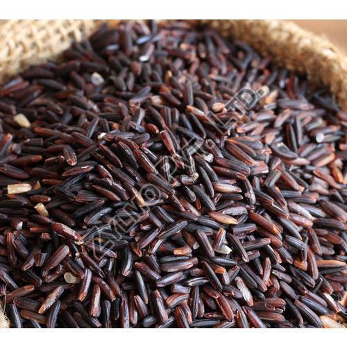 Common black rice, for Cooking, Food, Human Consumption, Certification : FDA Certified, FSSAI Certified
