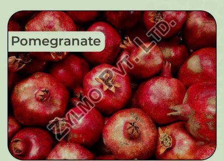 Common fresh pomegranate, for Making Custards, Making Juice, Making Syrups., Packaging Type : Curated Box