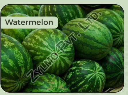 Natural Fresh Watermelon, for Cooking, Food Medicine, Packaging Type : Plastic Pouch, Plastic Packet