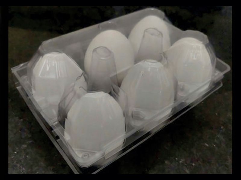 packaging egg tray