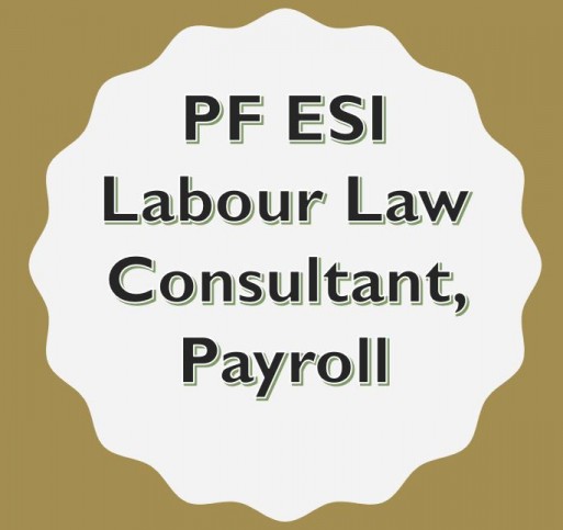 PF Consultancy Service