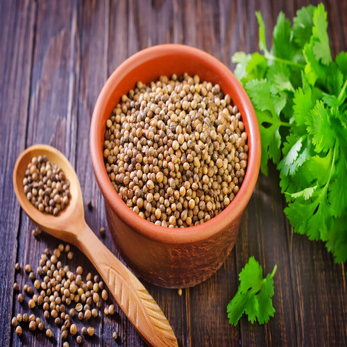 Common Coriander, for Cooking, Style : Dried