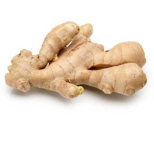 Organic Fresh Ginger, for Cooking, Medicine, Feature : Hygienically Packed