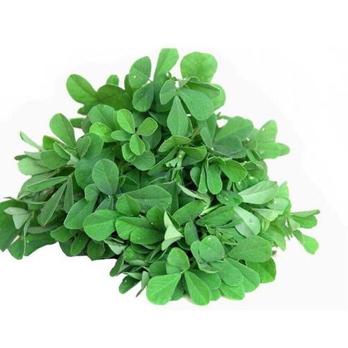 Natural Fresh Methi Leaves, for Human Consumption, Packaging Type : Plastic Packet