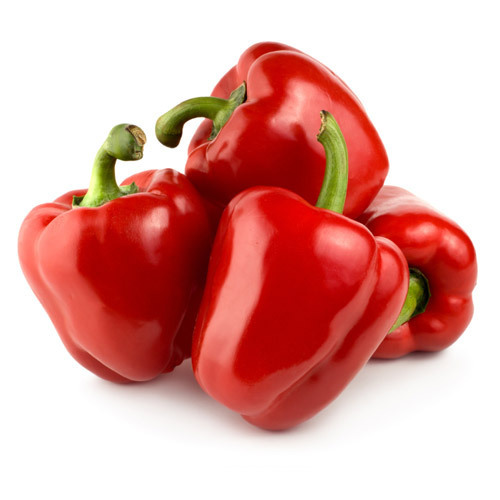 Fresh Red Capsicum