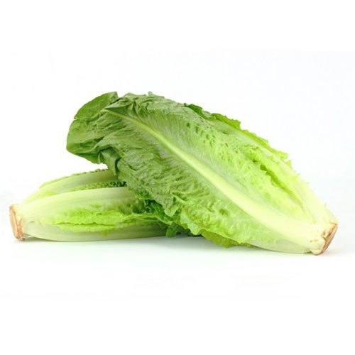 Natural Fresh Romaine Lettuce, for Cooking, Feature : Floury Texture