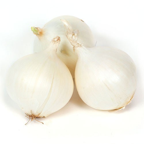 Organic Fresh White Onion, for Cooking, Snacks, Packaging Type : Plastic Bags