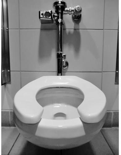 Automatic Flush Toilet