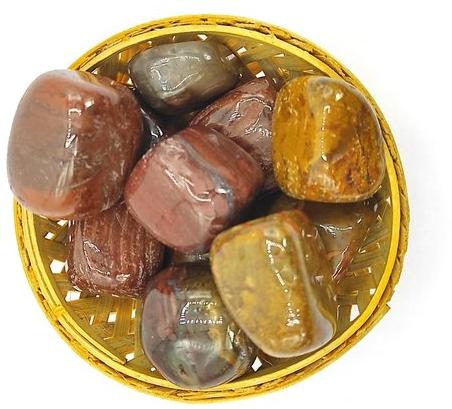 Petrified Wood Pebbles, Color : Multi Color