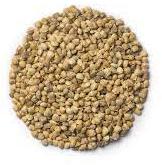 Common Palak Seeds, for Agriculture Use, Style : Dried